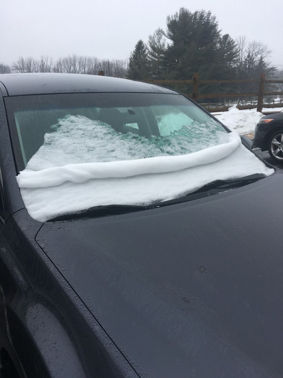 Lori Zabrecky - Lehigh County